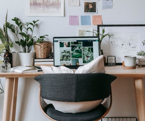 A clean, minimalist studio interior with natural light and plants.
